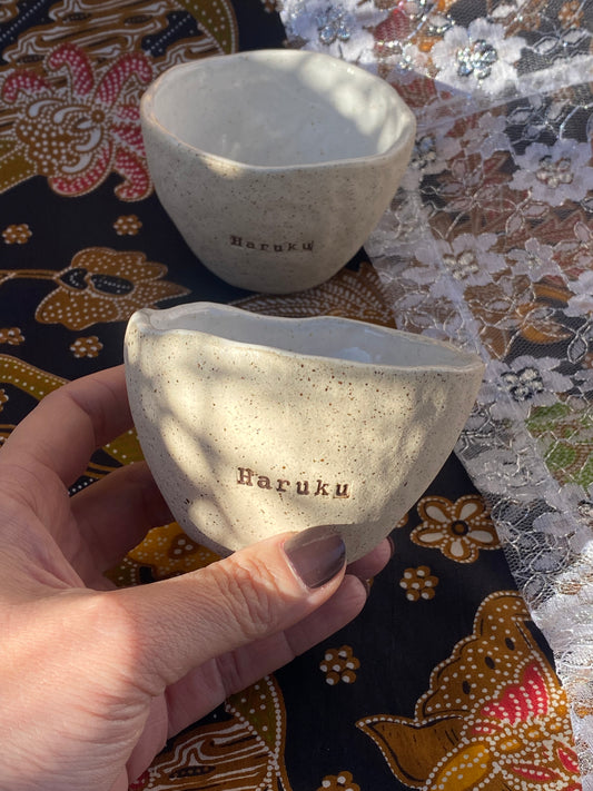 The Island Cup - Haruku